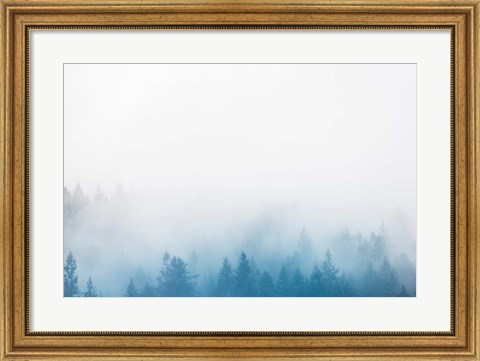 Framed Enchanted Forest No. 2 Print