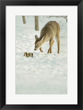 Framed Winter Squirrel and Deer Print