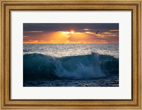 Framed Pelican at Dawn Print