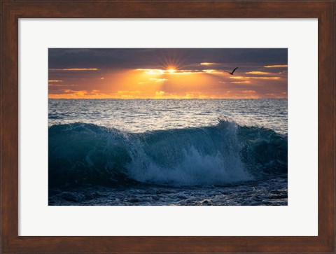 Framed Pelican at Dawn Print