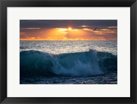 Framed Pelican at Dawn Print