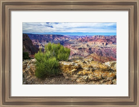 Framed Grand Canyon Medicine Print