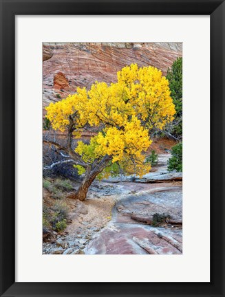 Framed Checkerboard Gold Print