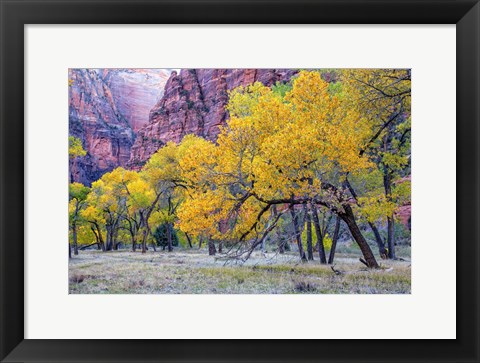 Framed Autumn at the Grotto Print