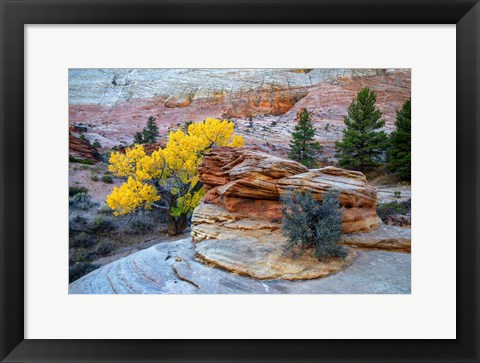 Framed Zion Gold Print