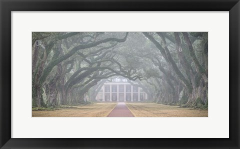 Framed Oak Alley Plantation Print