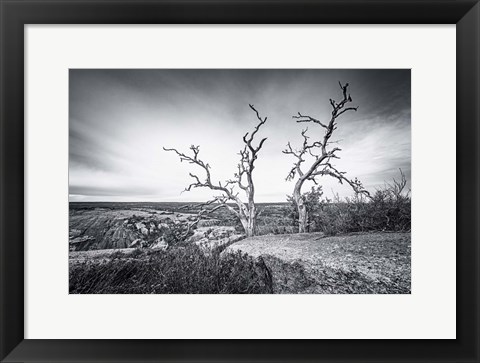 Framed Enchanted View Print