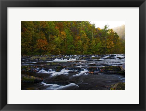 Framed Autumn on the Tellico River Print