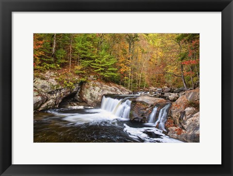 Framed Baby Falls Tellico River Print