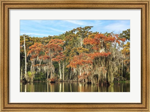 Framed Autumn on Palourde Print