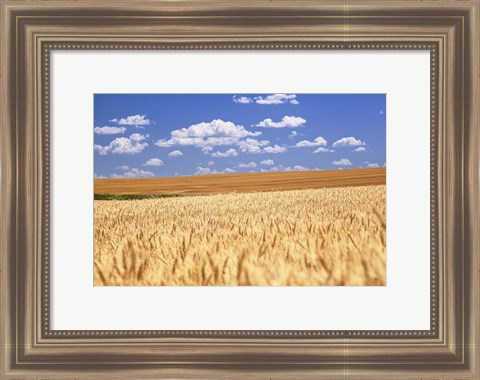 Framed Breadbasket Print