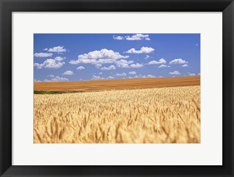 Framed Breadbasket Print