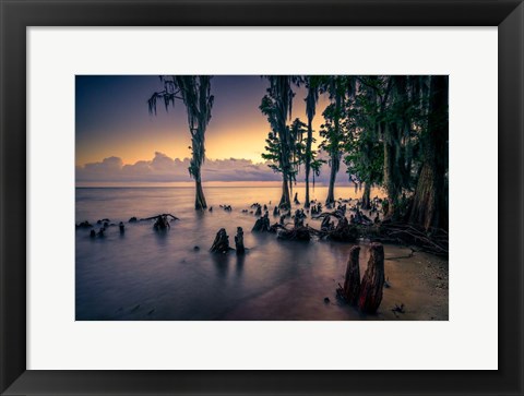 Framed Shore of Lake Pontchartrain Print