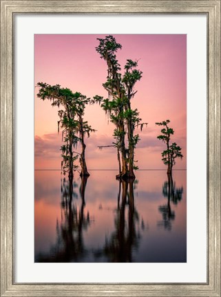 Framed Pink Twilight on Lake Maurepas Print