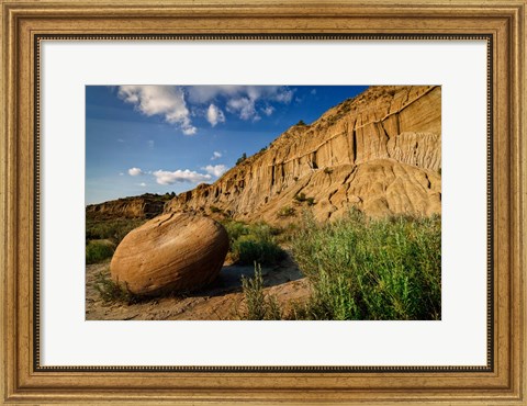 Framed Cannonball Concretion Print
