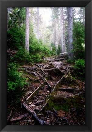 Framed Forest Gates Print