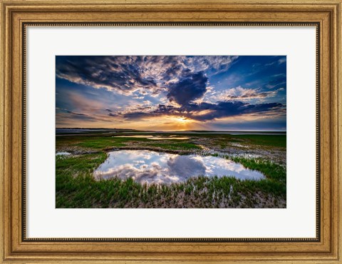 Framed Paines Creek Reflections Print