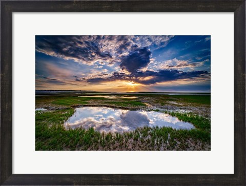 Framed Paines Creek Reflections Print