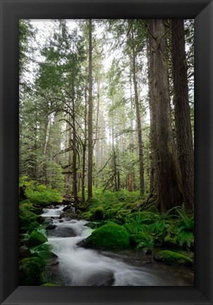 Framed Woodland Cascades Print