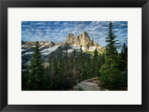 Framed Liberty Bell Print