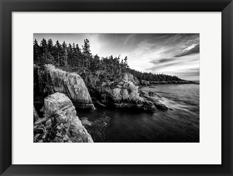 Framed Ravens Nest Monochrome Print