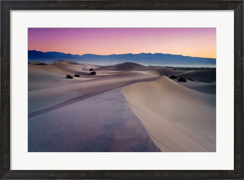 Framed Into The Dunes Print