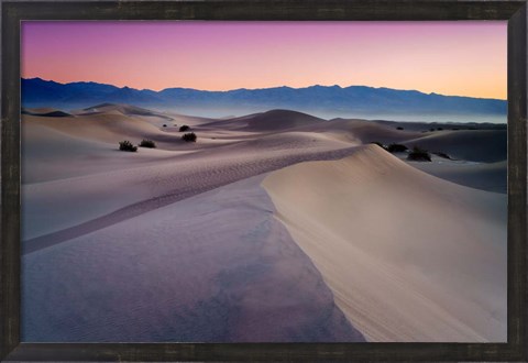 Framed Into The Dunes Print