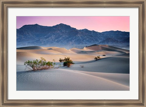 Framed Dawn in the Dunes Print