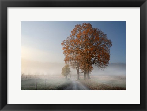 Framed Autumn on Hyatt Lane Print