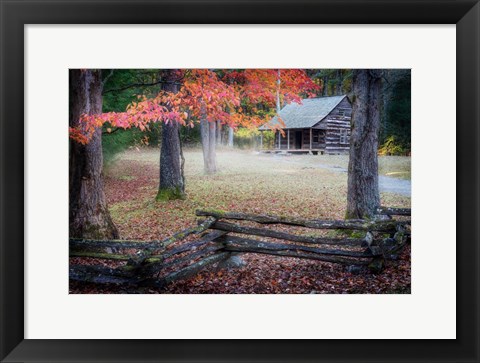 Framed Autumn at Carter Shields Cabin Print