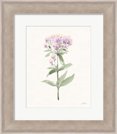 Framed Flowers of the Wild II Pastel Print