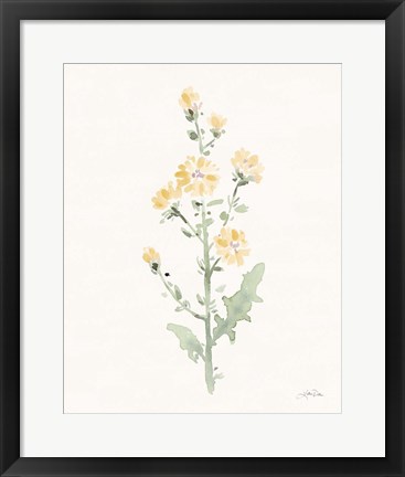 Framed Flowers of the Wild III Pastel Print