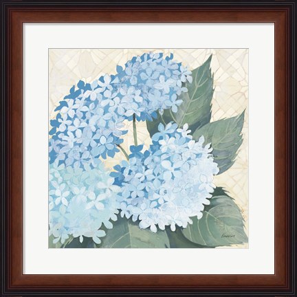 Framed Decorative Hydrangea II Providence Print