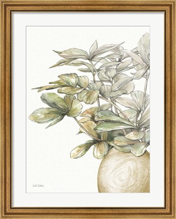 Framed Potted Leaves II Print