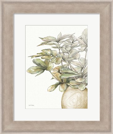 Framed Potted Leaves II Print