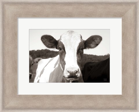 Framed At the Barn Print