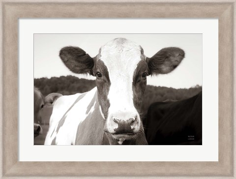 Framed At the Barn Print