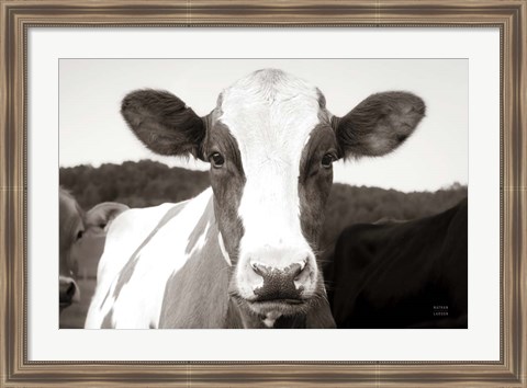 Framed At the Barn Print