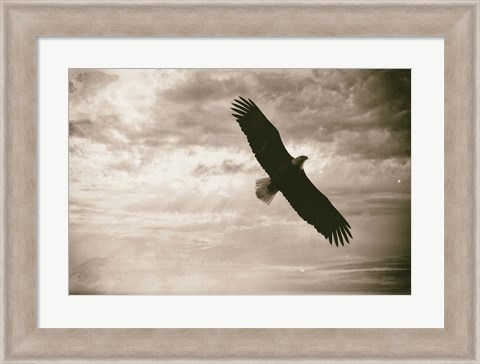 Framed Sunray Eagle Print