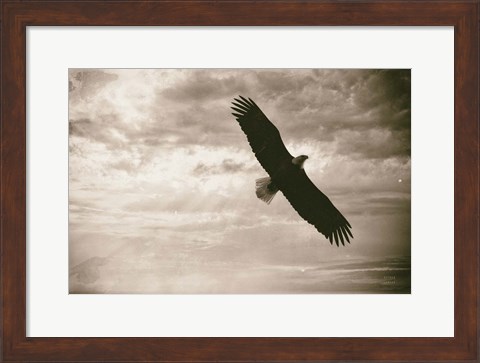 Framed Sunray Eagle Print