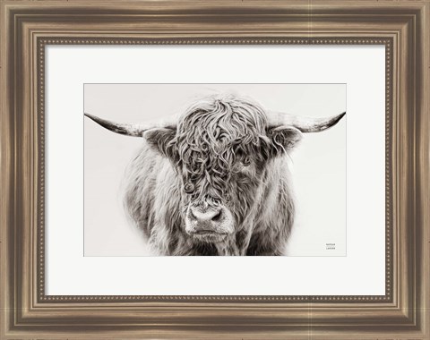 Framed Highland in the Winter Fog BW Print