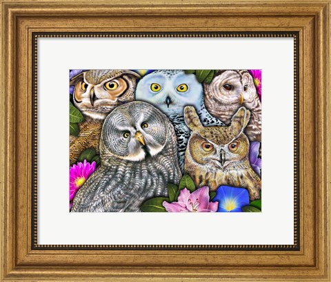 Framed Owls Print