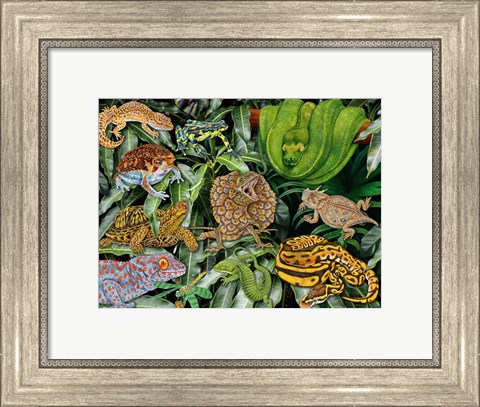 Framed Reptile &amp; Amphibians Print