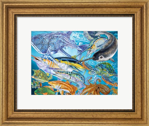 Framed Sea Life of the World Print