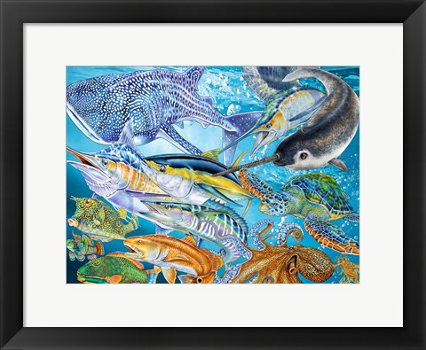 Framed Sea Life of the World Print