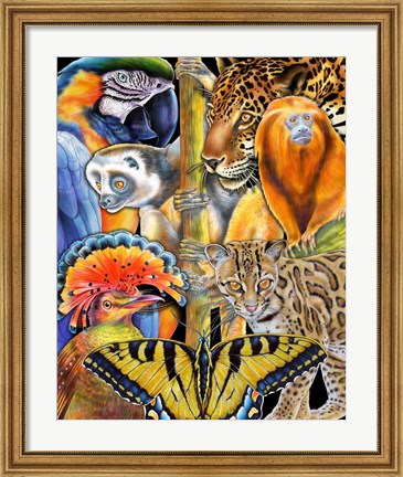 Framed Collage Rainforest Animals Print