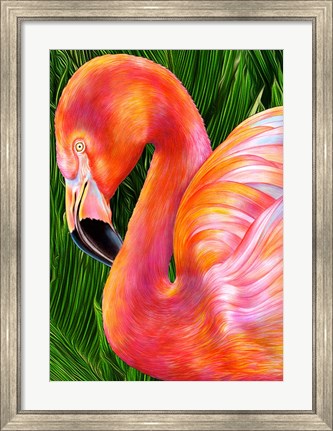 Framed Flamingo Print