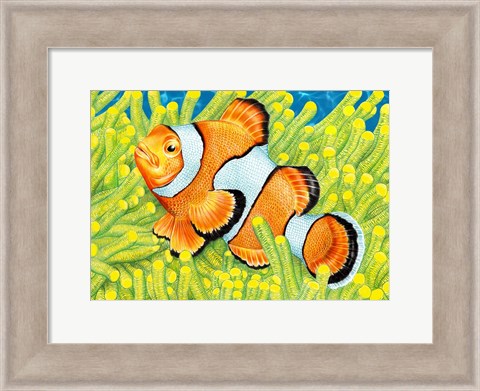 Framed Clownfish Print