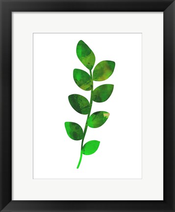 Framed Zamioculcas Leaf Print