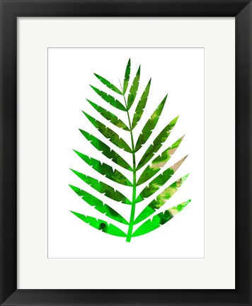 Framed Tropical Leaf Print